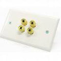 Speaker Wire Wall Plate 2 Speakers White