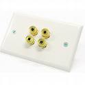 Speaker Wire Wall Plate 2 Speakers White
