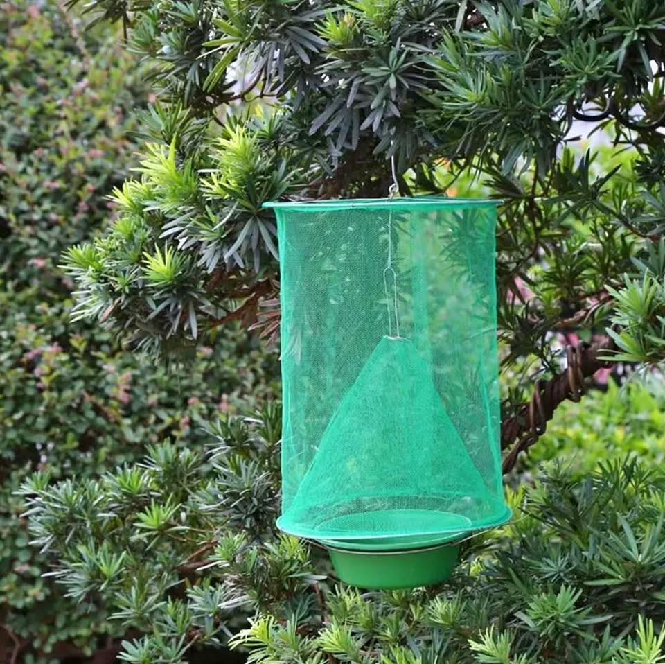 New Hanging Fly Catcher Pest Control Reusable Catcher Cage Net Garden Bird Catcher
