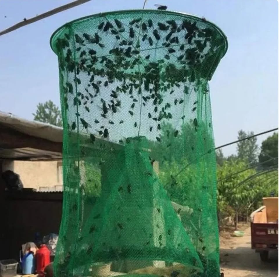 New Hanging Fly Catcher Pest Control Reusable Catcher Cage Net Garden Bird Catcher